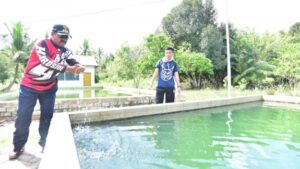 Tanjung Hutan Hot Springs