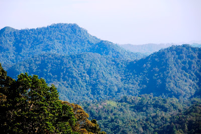 Mount Djadi, the first mountain in Riau