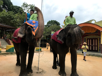 Bintan Elephant Park: A Majestic Sanctuary Amidst Nature’s Embrace