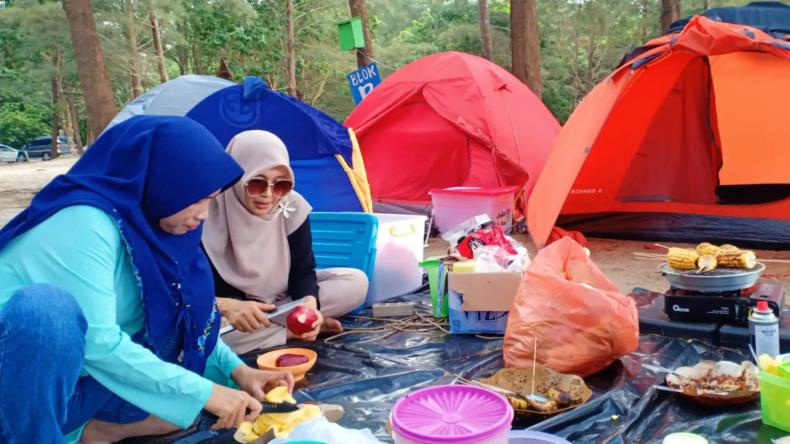 Camping Dilemma: Unveiling the Reality of Camping at Panbil Nature Reserve, Batam
