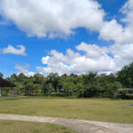 Escape the Crowds: Tranquil Fishing at Poyotomo Fishing Pond, Bintan