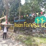 Batam Forest Top